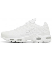 Nike Air Max Plus White All