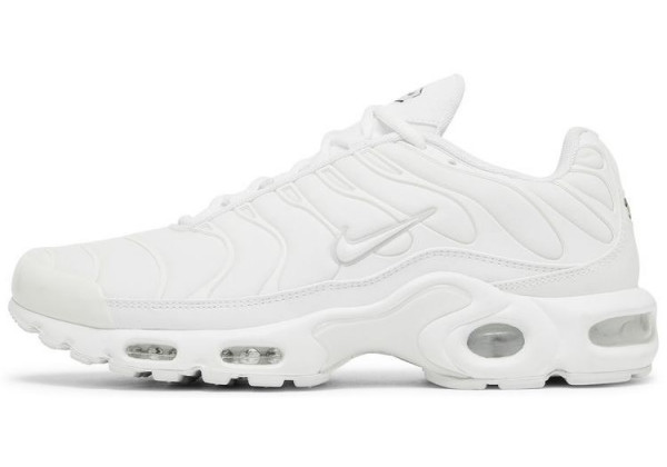 Nike Air Max Plus White All