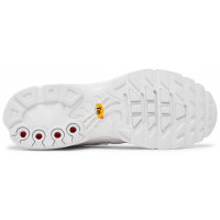 Nike Air Max Plus White All