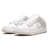 Nike Dunk Low Venice White