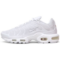Nike Air Max Plus White Neutral Grey White