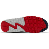 Nike Air Max 90 USA 2021 Pure Platinum