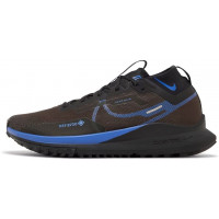 Nike Pegasus Trail 4 Gore-Tex Velvet Brown Blue