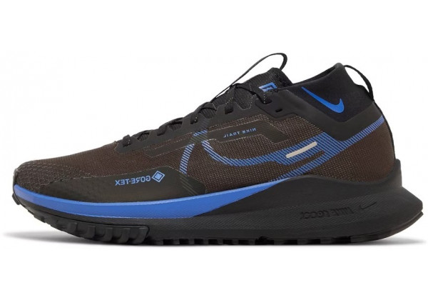 Nike Pegasus Trail 4 Gore-Tex Velvet Brown Blue