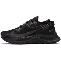 Nike Pegasus Trail 2 GTX Black Metallic Dark Grey