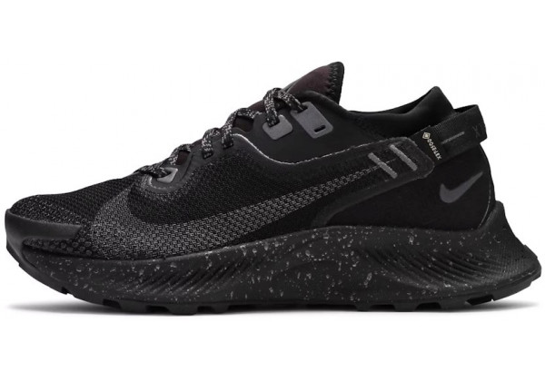 Nike Pegasus Trail 2 GTX Black Metallic Dark Grey