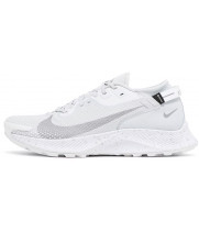 Nike Pegasus Trail 2 GTX Pure Platinum