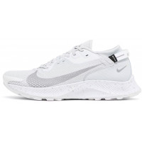 Nike Pegasus Trail 2 GTX Pure Platinum