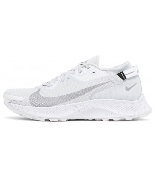 Nike Pegasus Trail 2 GTX Pure Platinum