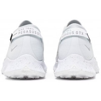 Nike Pegasus Trail 2 GTX Pure Platinum