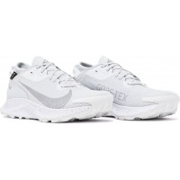 Nike Pegasus Trail 2 GTX Pure Platinum