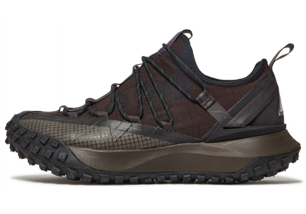 Кроссовки Nike ACG Mountain Fly Low Brown Basalt