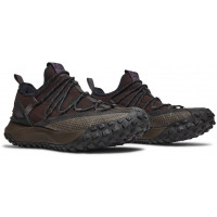 Кроссовки Nike ACG Mountain Fly Low Brown Basalt