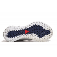 Кроссовки Nike ACG Mountain Fly Low GTX Team USA