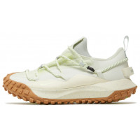 Кроссовки Nike ACG Mountain Fly Low GTX SE Sea Glass