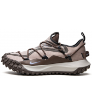 Кроссовки Nike ACG Mountain Fly Low Se Malt Light Iron Ore