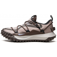 Кроссовки Nike ACG Mountain Fly Low Se Malt Light Iron Ore