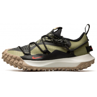 Кроссовки Nike ACG Mountain Fly Low Se Pilgrim