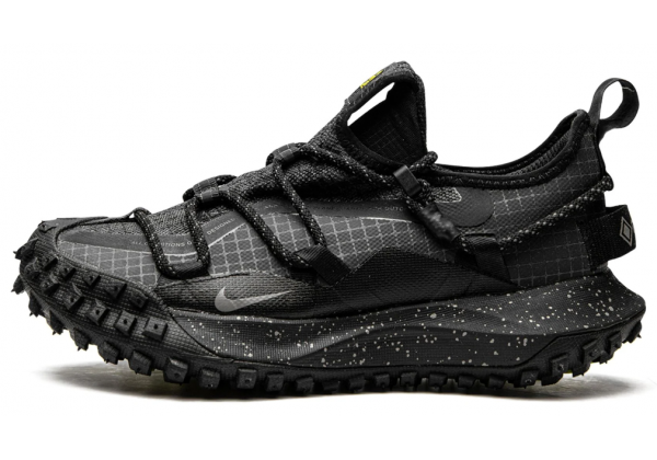 Кроссовки Nike ACG Mountain Fly Low Se Gore Tex Dark Grey