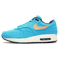 Nike Air Max 1 PRM Baltic Blue