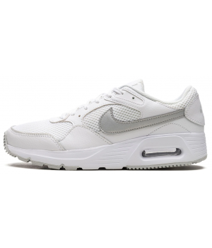 Nike Air Max SC White Metallic Platinum