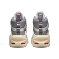 Nike Air Zoom GT Jump Grey Sail