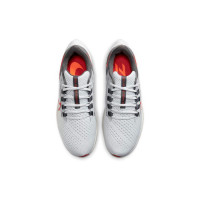 Nike Air Zoom Pegasus 38 Pure Platinum Chile Red