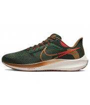 Nike Air Zoom Pegasus 39 Air Hola Lou