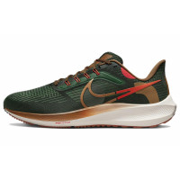 Nike Air Zoom Pegasus 39 Air Hola Lou