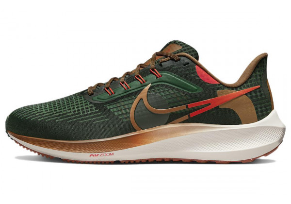 Nike Air Zoom Pegasus 39 Air Hola Lou