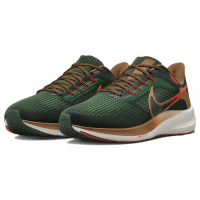 Nike Air Zoom Pegasus 39 Air Hola Lou