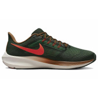 Nike Air Zoom Pegasus 39 Air Hola Lou