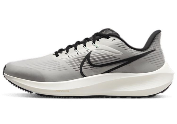 Nike Air Zoom Pegasus 39 Particle Grey