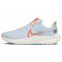 Nike Air Zoom Pegasus 39 Next Nature GS Blue