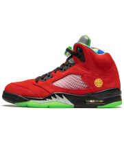 Air Jordan 5 Retro What The