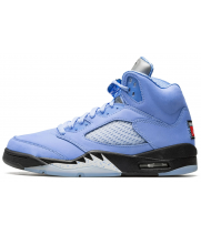 Air Jordan 5 Retro SE UNC