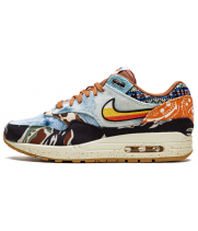 Кроссовки Nike Air Max 1 Concepts Heavy