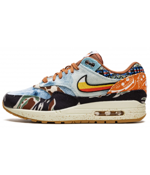 Кроссовки Nike Air Max 1 Concepts Heavy