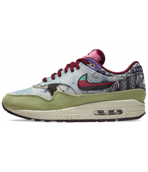 Кроссовки Nike Air Max 1 Concepts Mellow