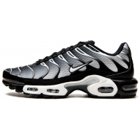 Кроссовки Nike Air Max Plus Black Silver