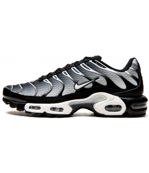 Кроссовки Nike Air Max Plus Black Silver