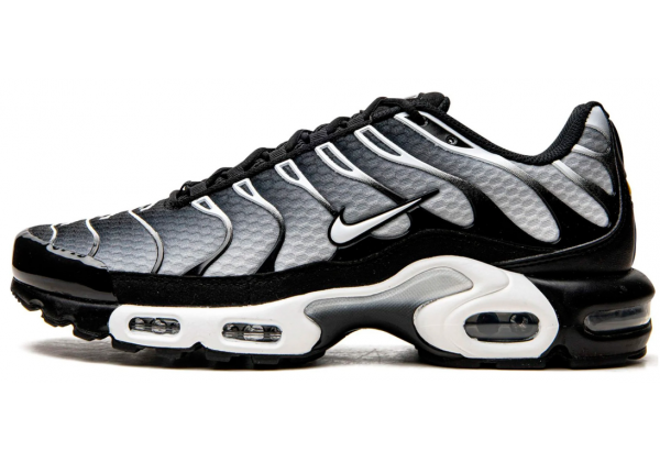 Кроссовки Nike Air Max Plus Black Silver