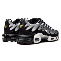 Кроссовки Nike Air Max Plus Black Silver