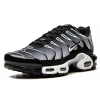 Кроссовки Nike Air Max Plus Black Silver