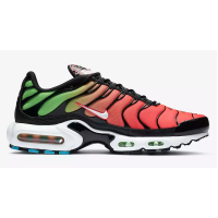 Кроссовки Nike Air Max Plus Worldwide