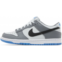 Nike Dunk Low Cool Grey Photo Blue Nike Dunk Low Cool Grey Photo Blue