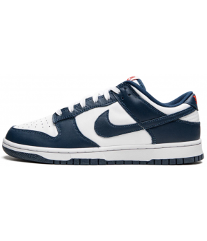 Nike Dunk Low USA Blue