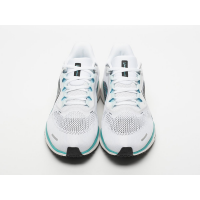 Nike Air Zoom Pegasus 41 White Black Blue