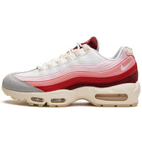 Кроссовки Air Max 95 QS  Anatomy Of Air Rose White