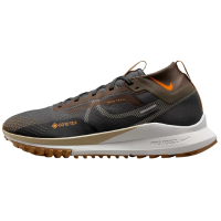 Nike Pegasus Trail 4 Gore-Tex Brown